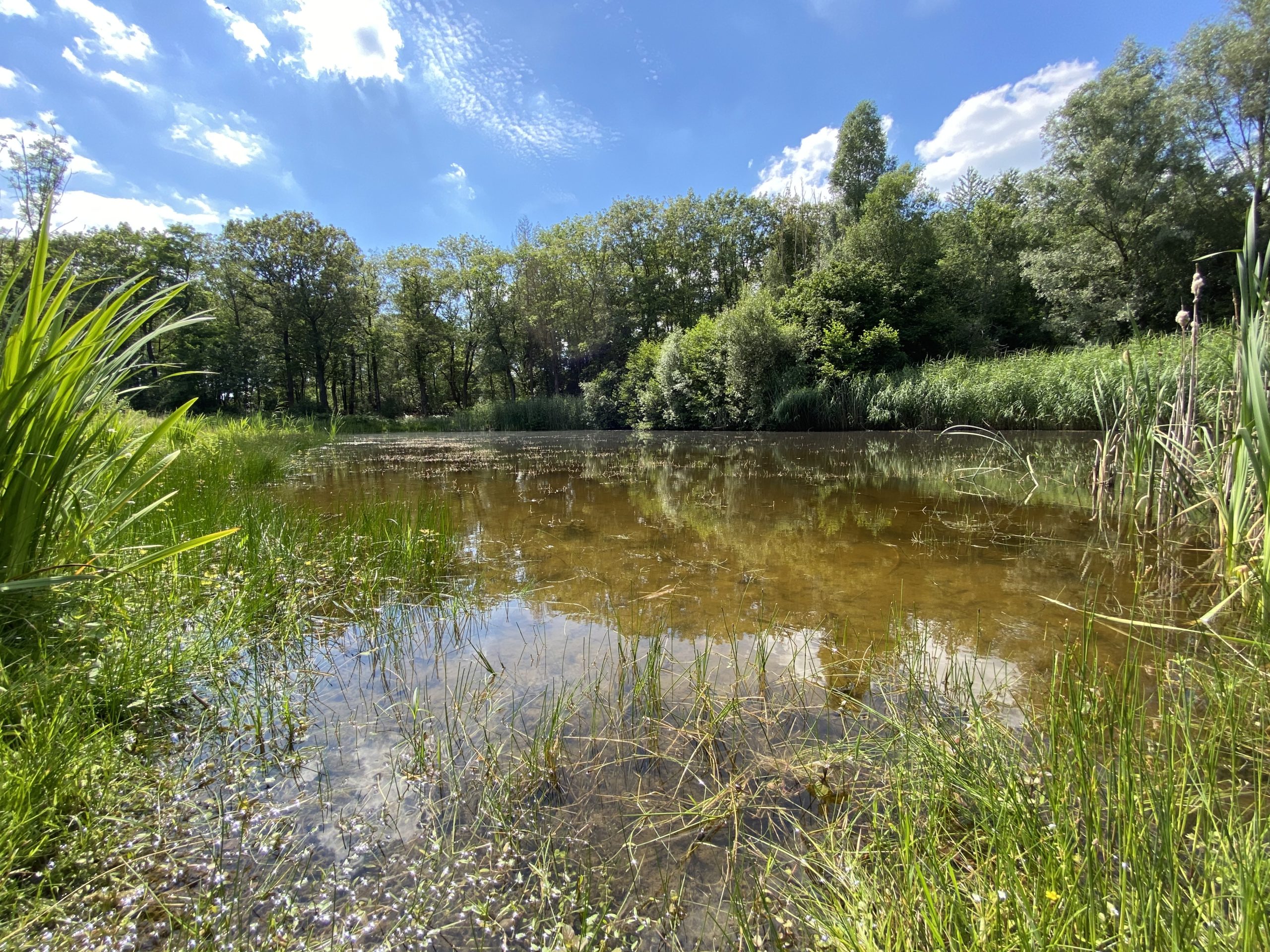 Arboretum Poort Bulten