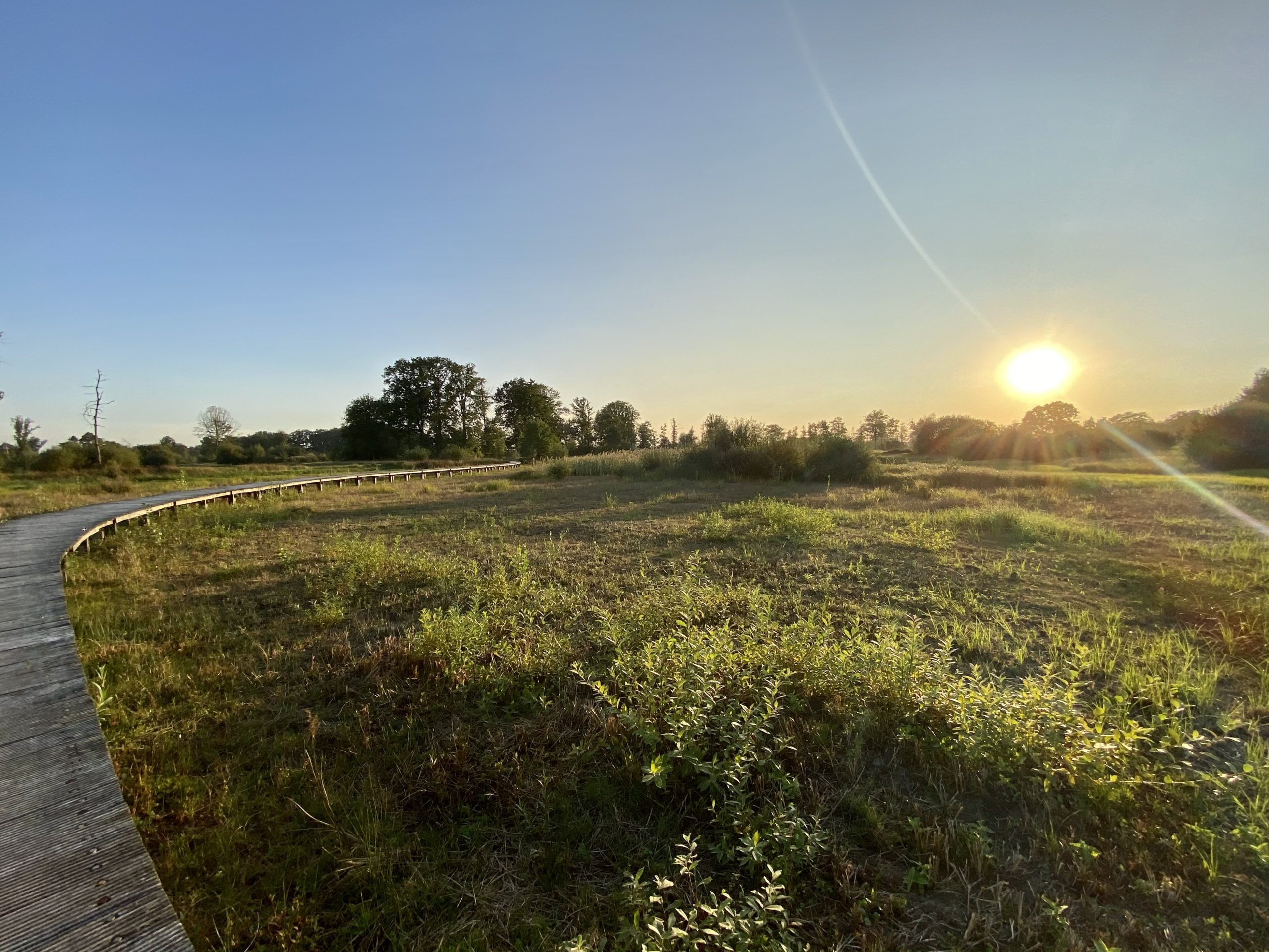 Empese en Tondense Heide