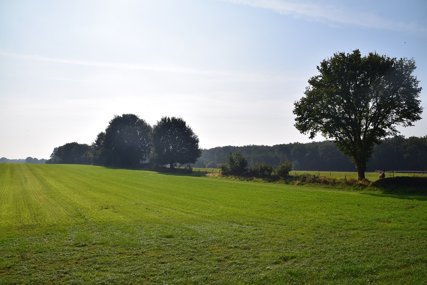 Hoge Land van Vollenhove