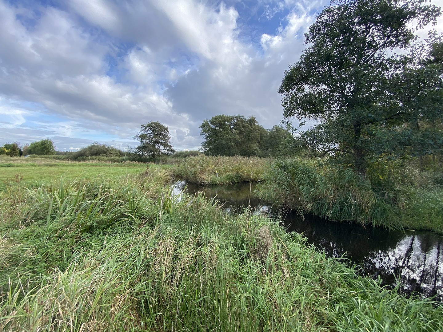 Kortenhoefse Plassen