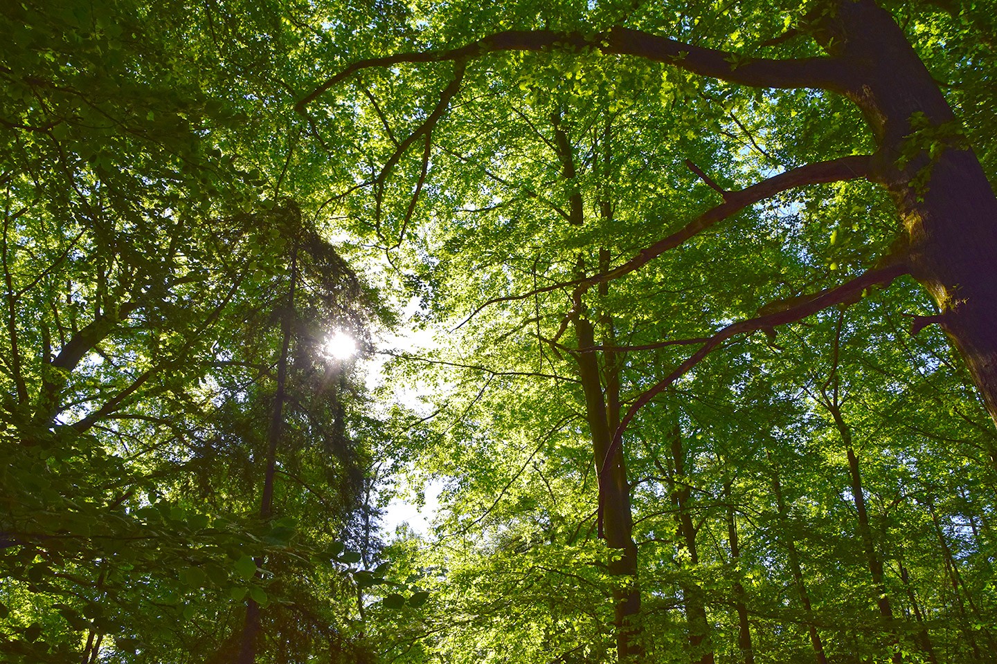 Landgoed De Slotplaats