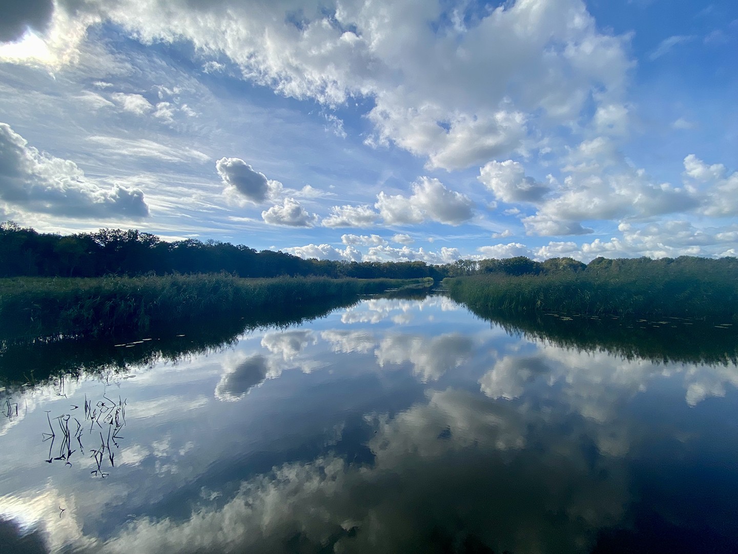 Naardermeer