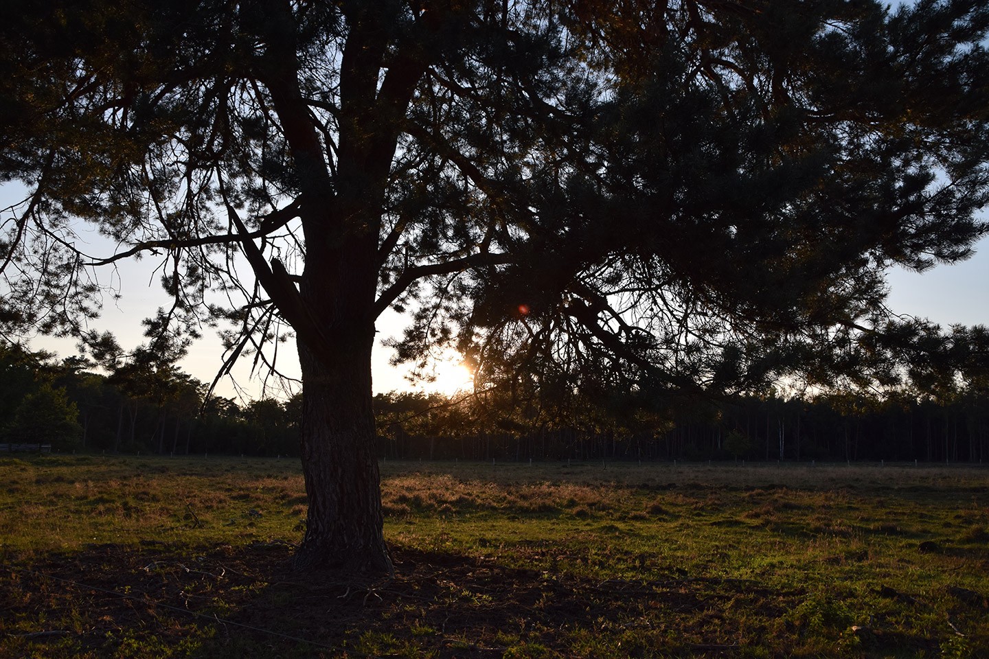 Nationaal Park Drents Friese Wold