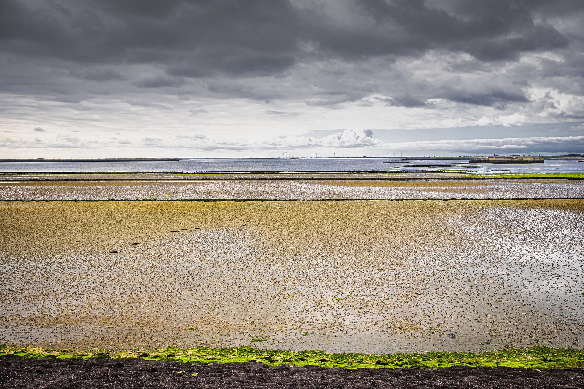 Nationaal Park Oosterschelde