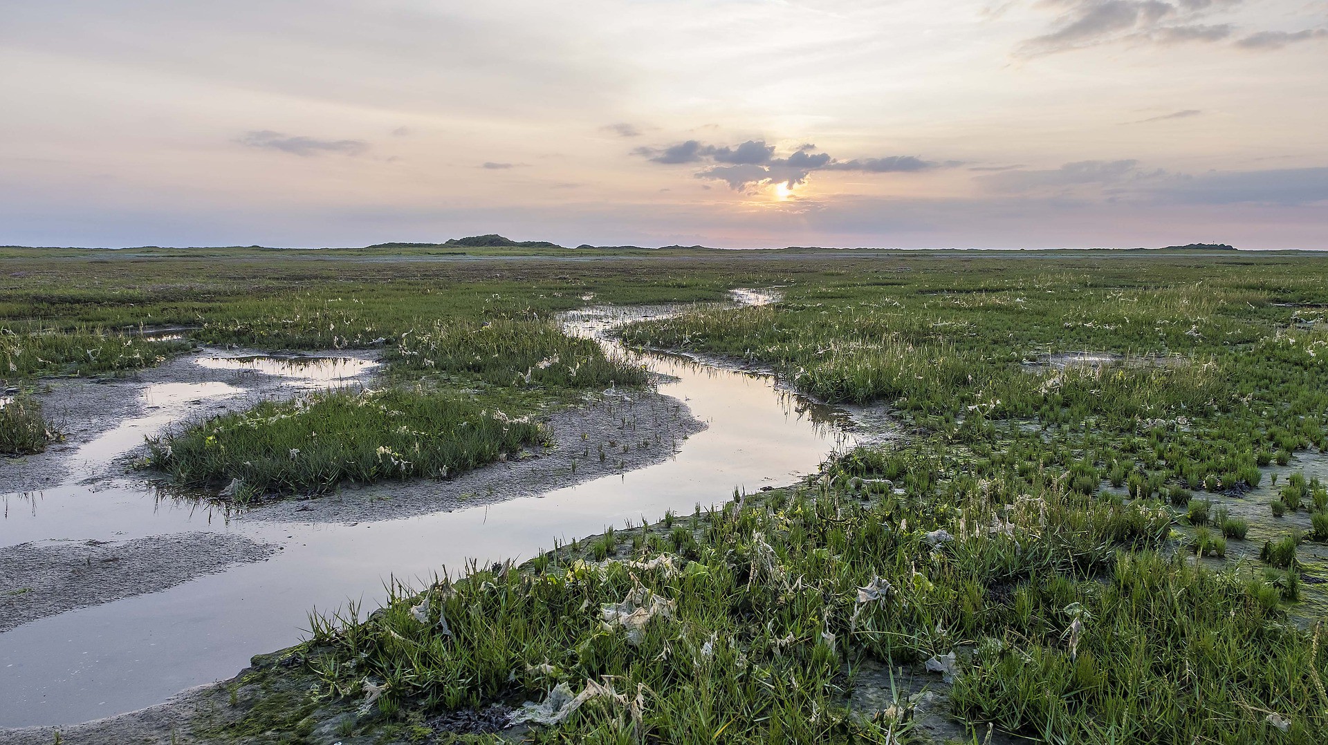 Nationaal Park Schiermonnikoog