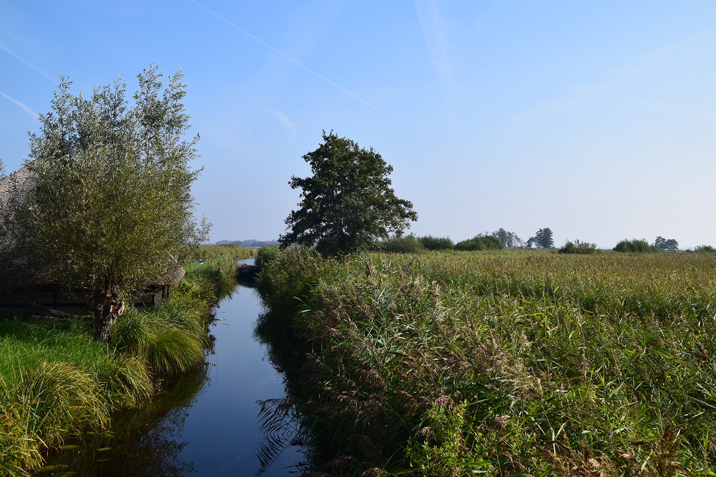 Noordoostpolder