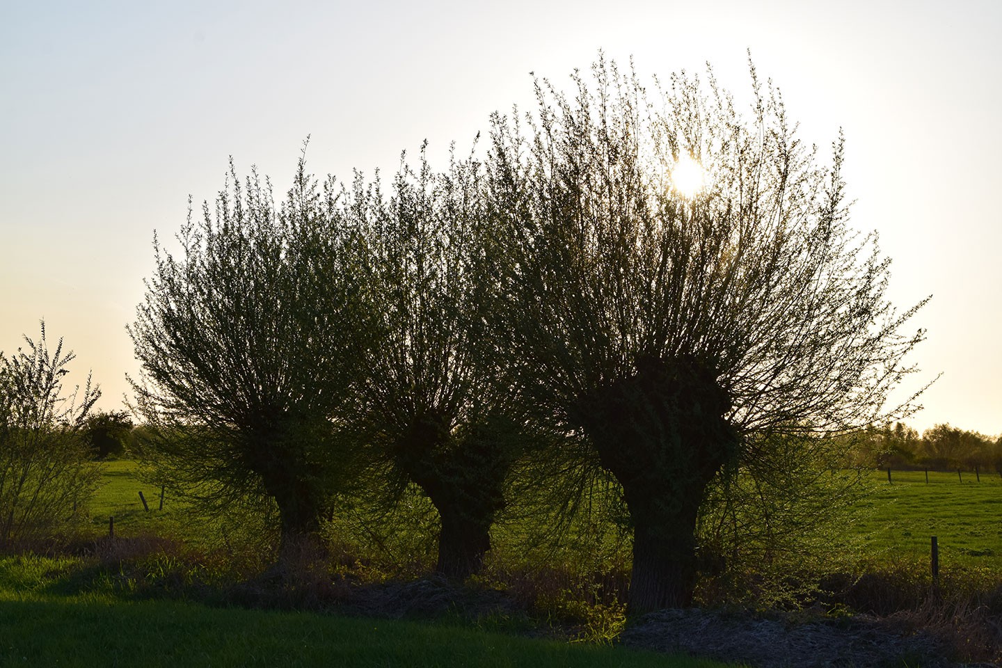 Noordpolder van Ossendrecht