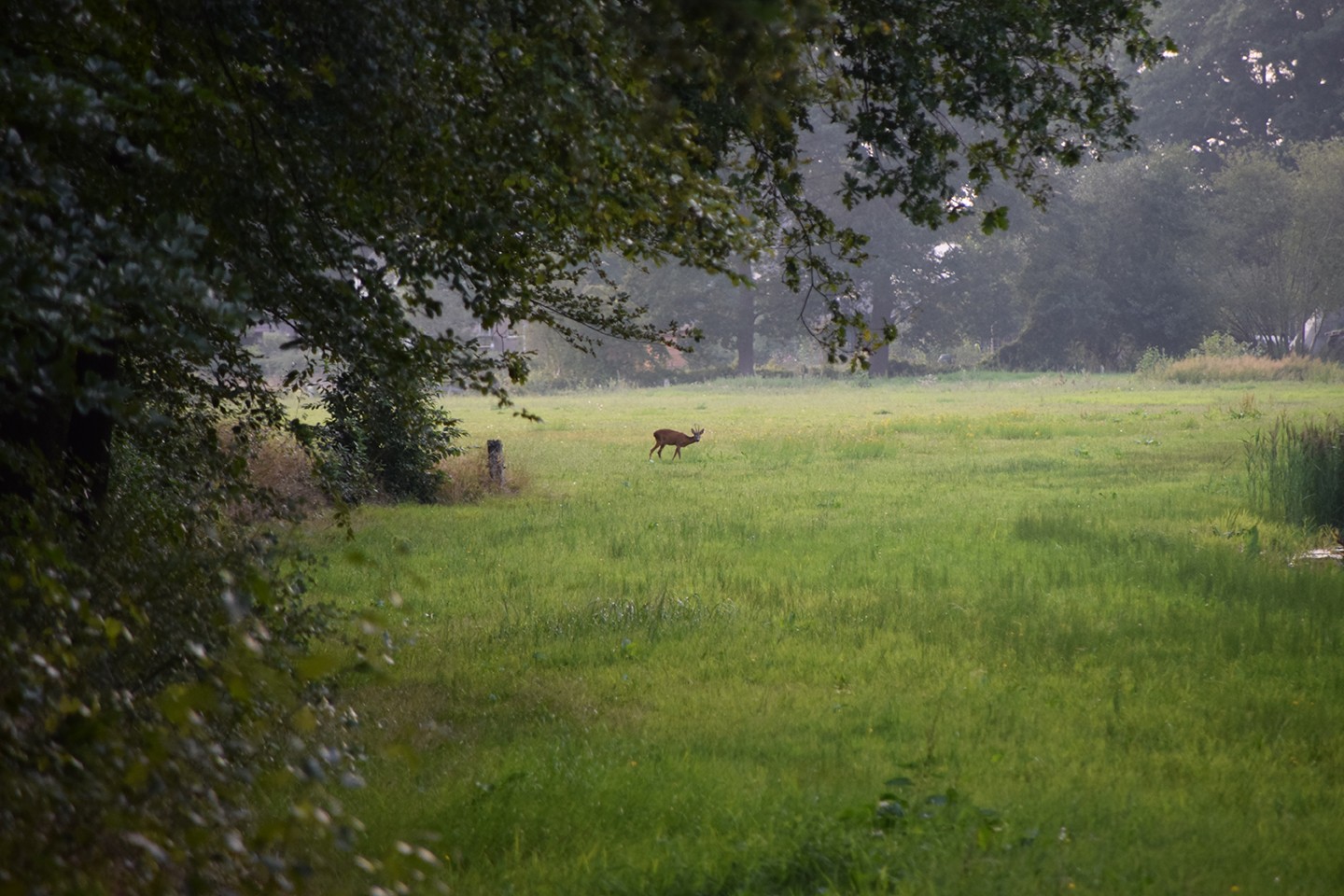 Norger Esdorpenlandschap