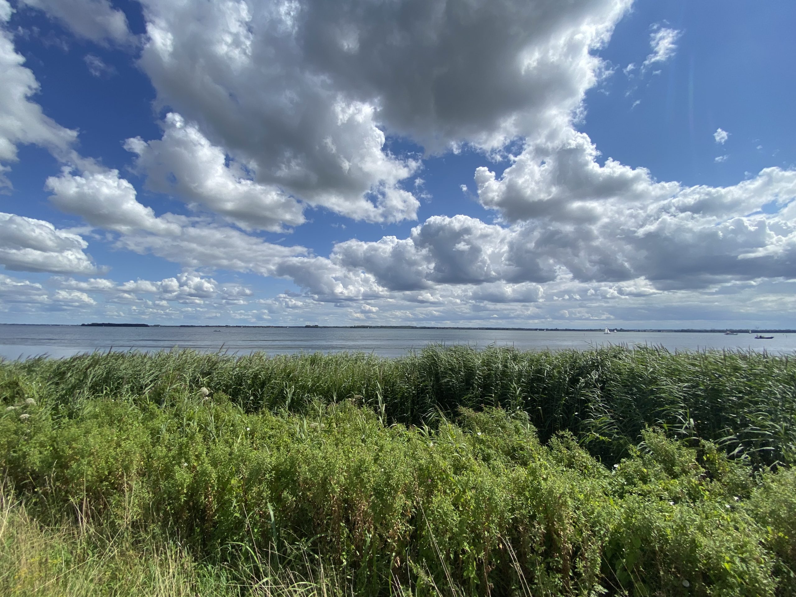 Oostelijk Flevoland