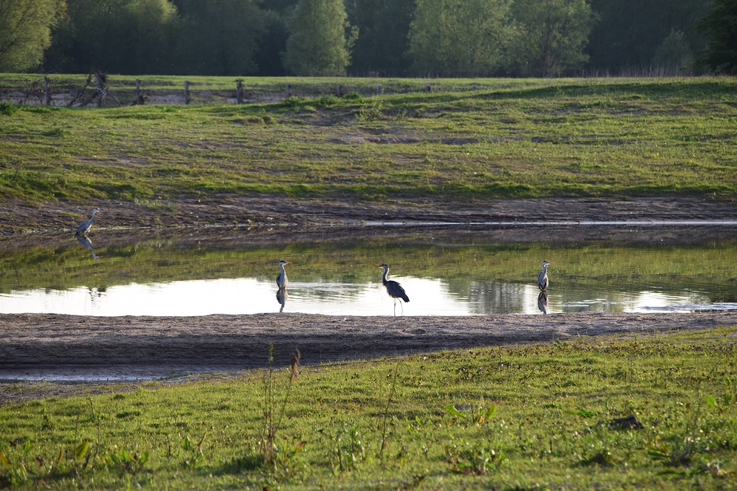 Polder Groot Mijdrecht