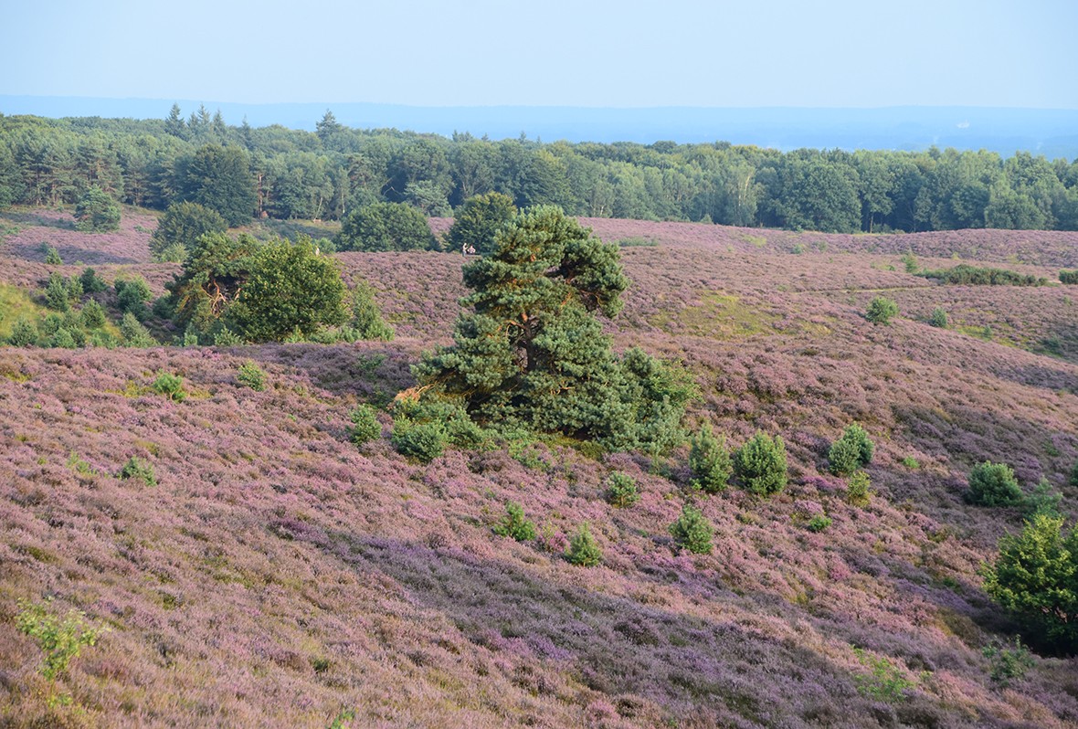 natuurgebieden