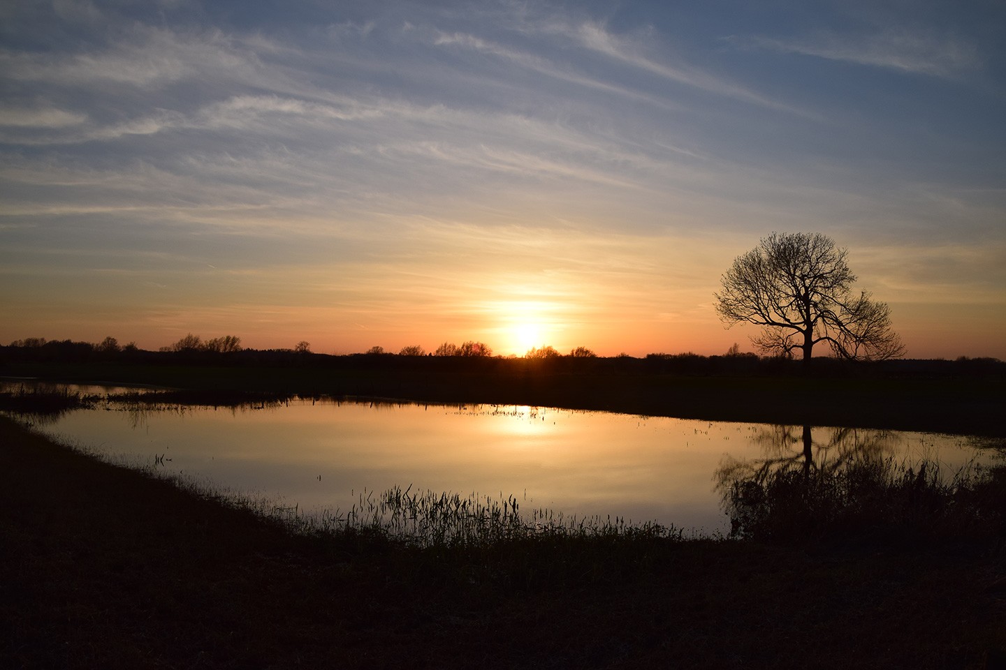 Biesbosch