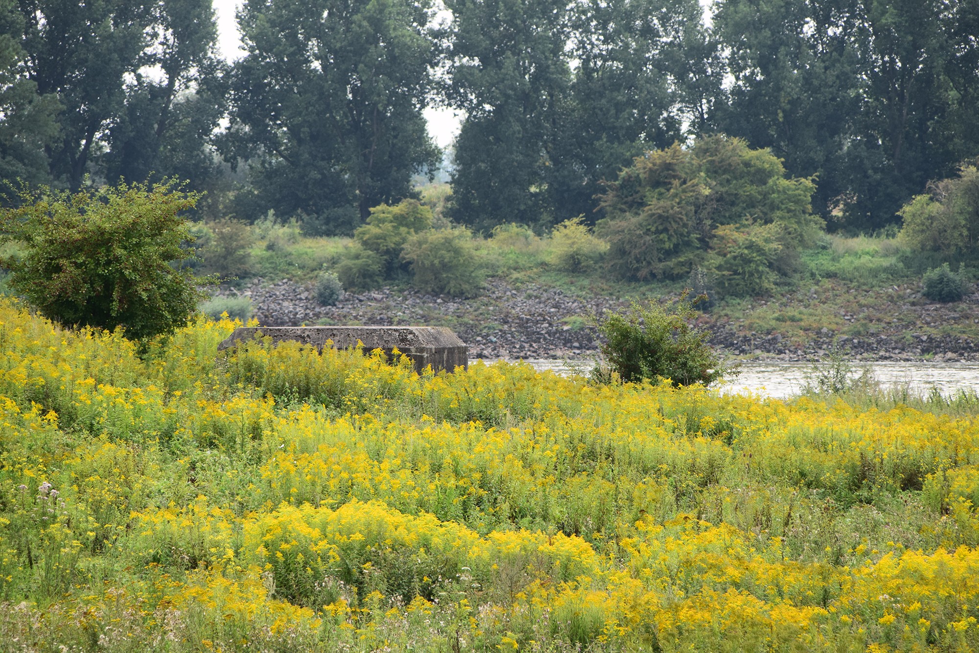 Gelderse Poort