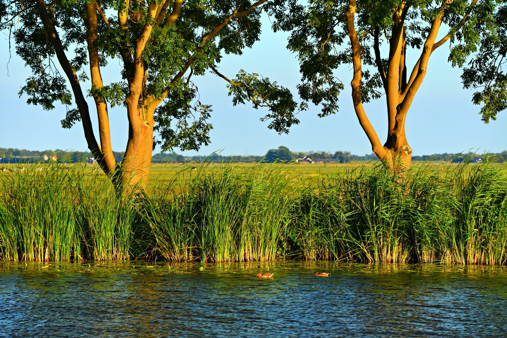 Groene Hart Krimpenerwaard