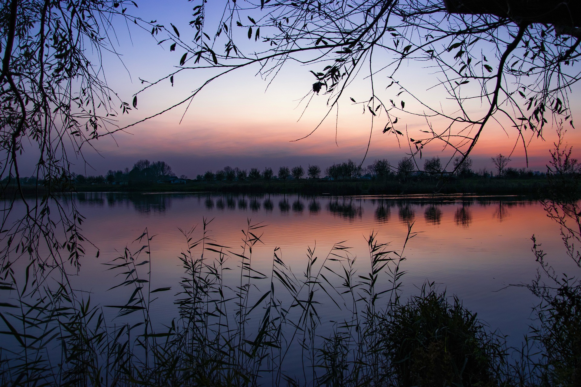 Hemelrijkse Waard