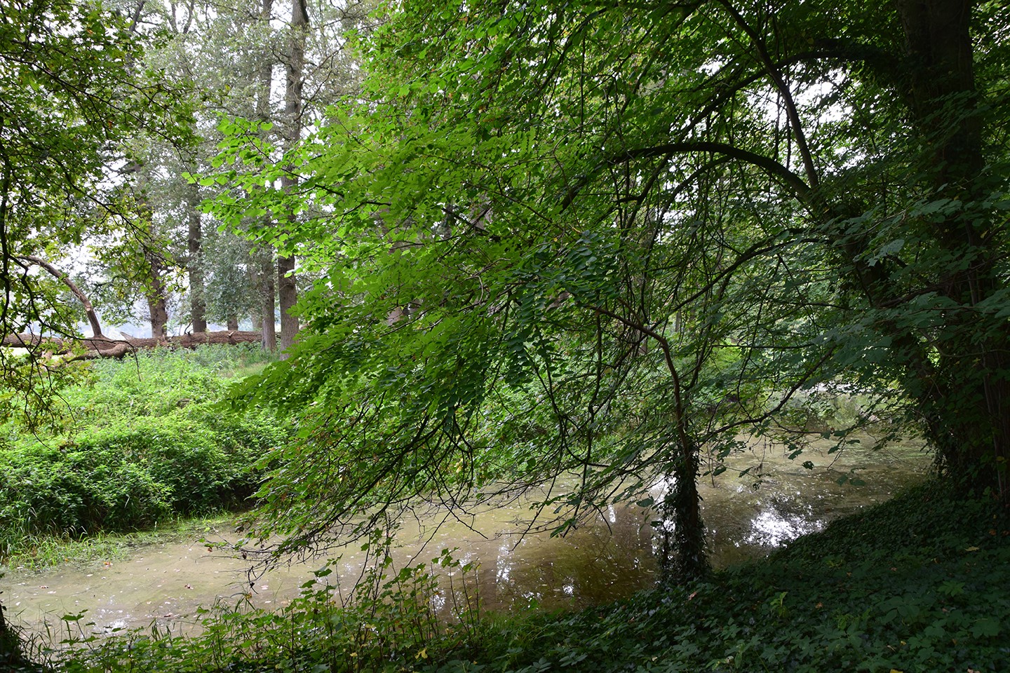 Kloosterbos Landgoed t Nijveld