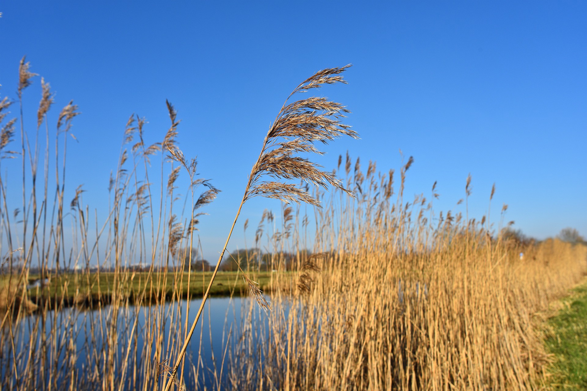 Kogen en Braken