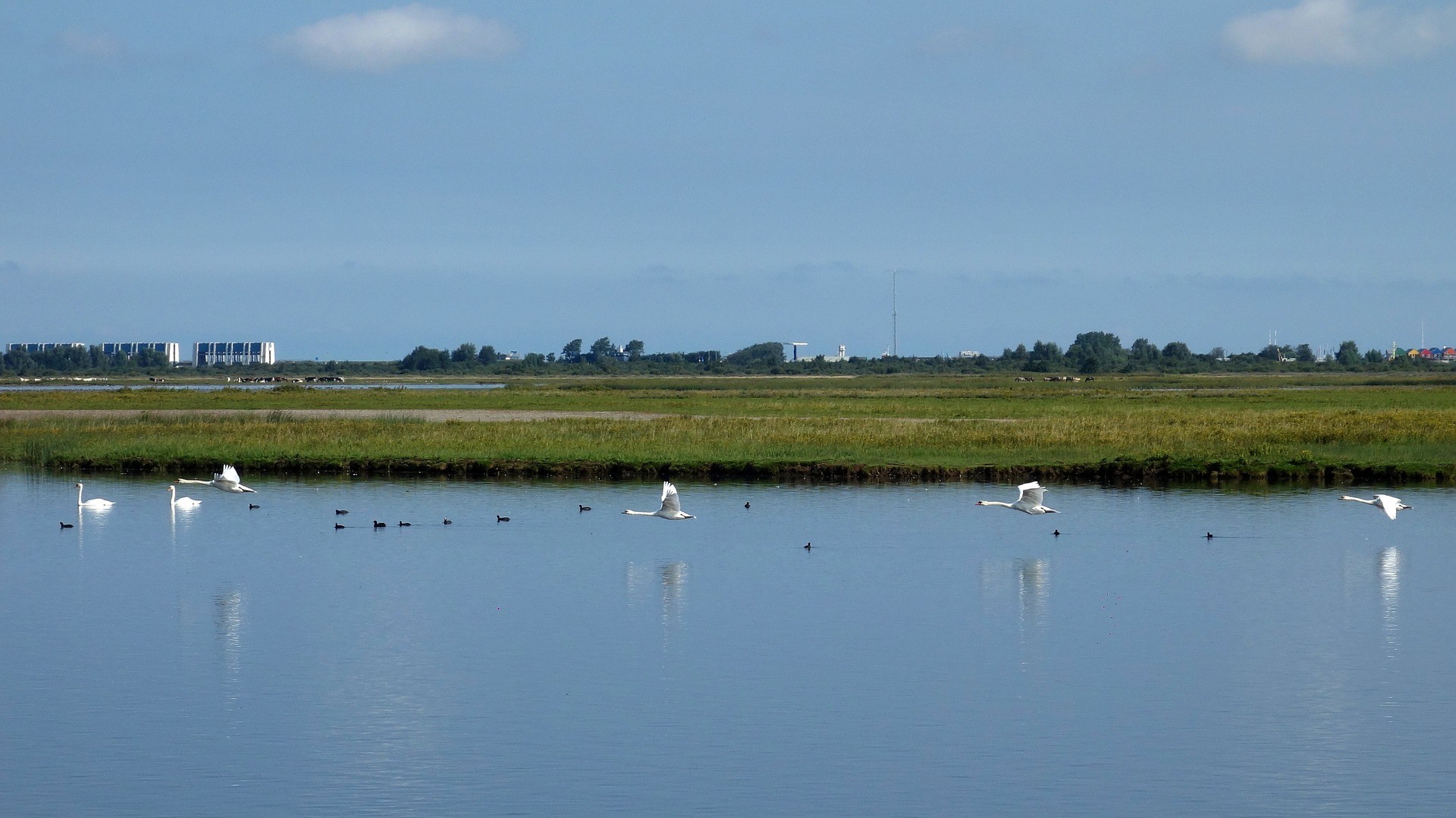 Lauwersmeer