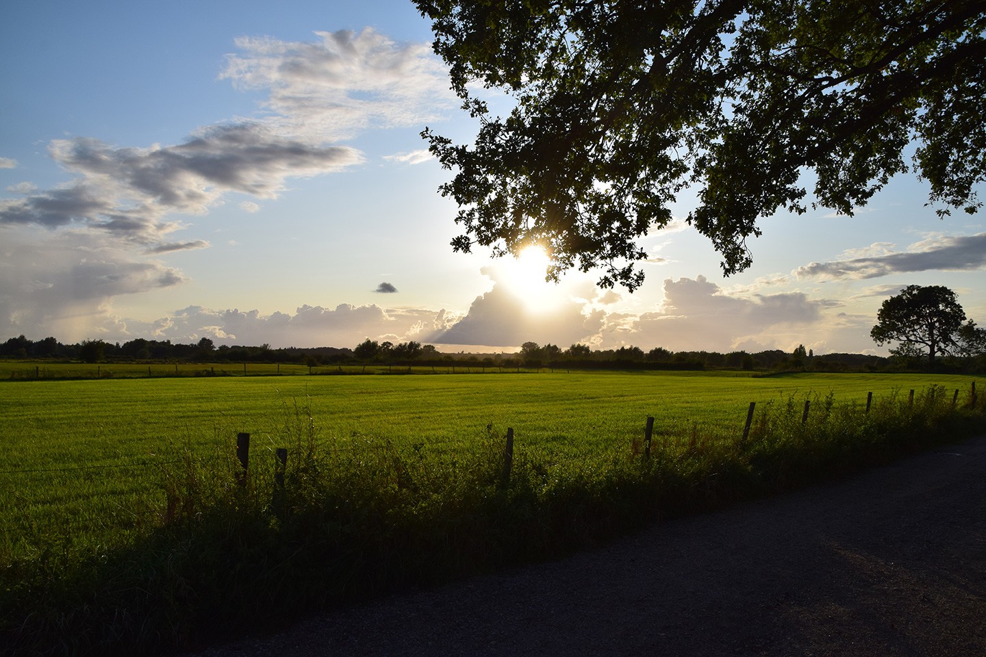 Moergestels Broek