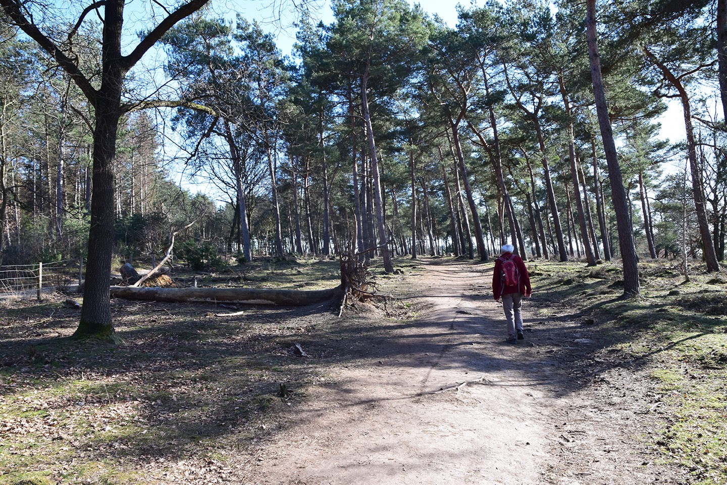 Rijk van Nijmegen