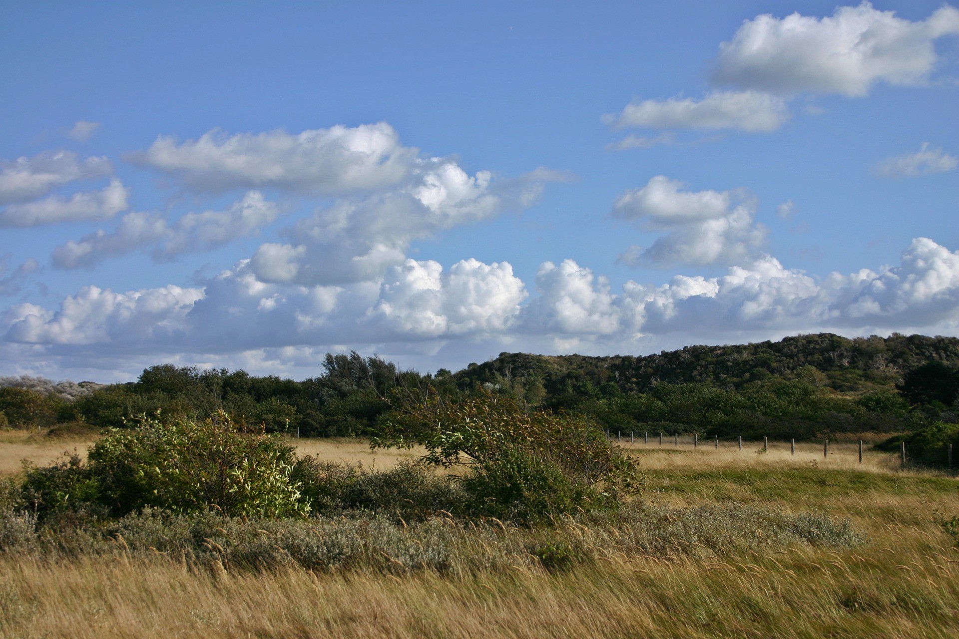 Schouwen Duiveland