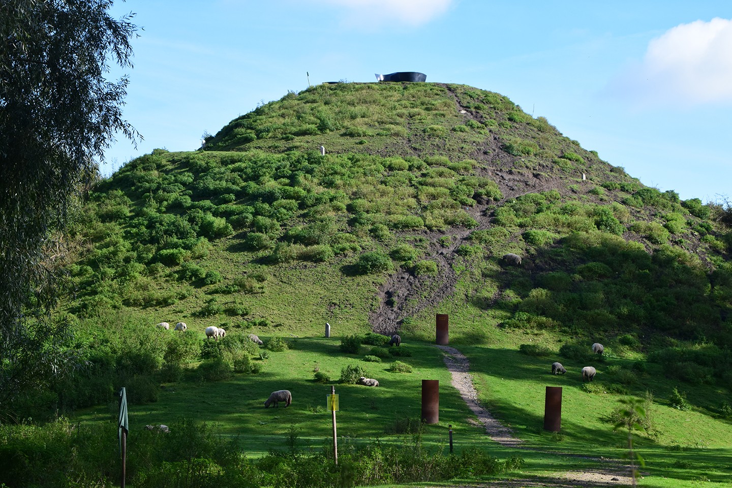 Stadsbossen Almere