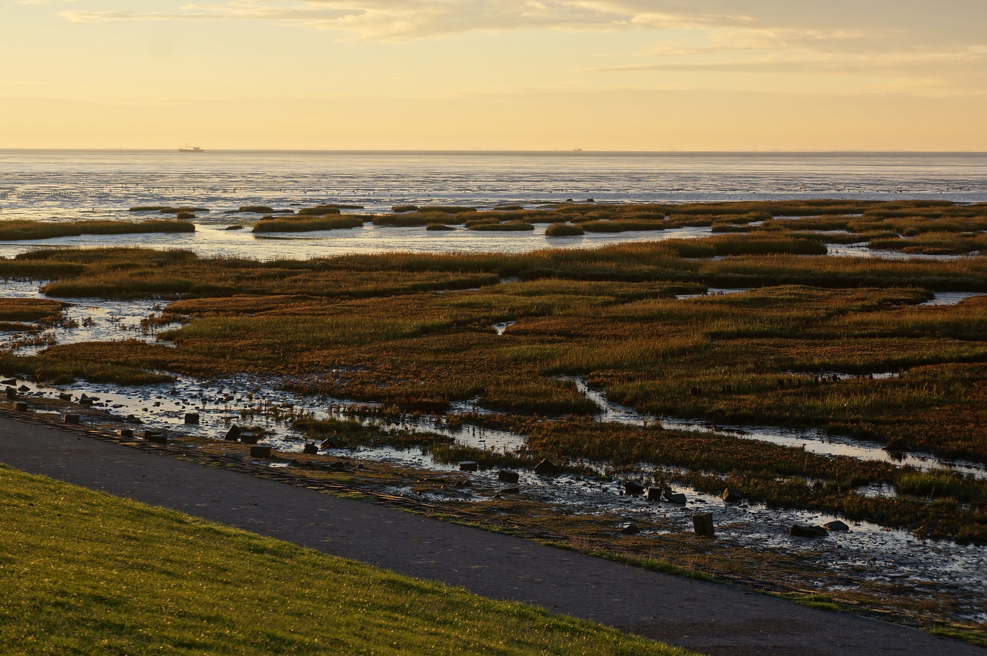 Terschelling