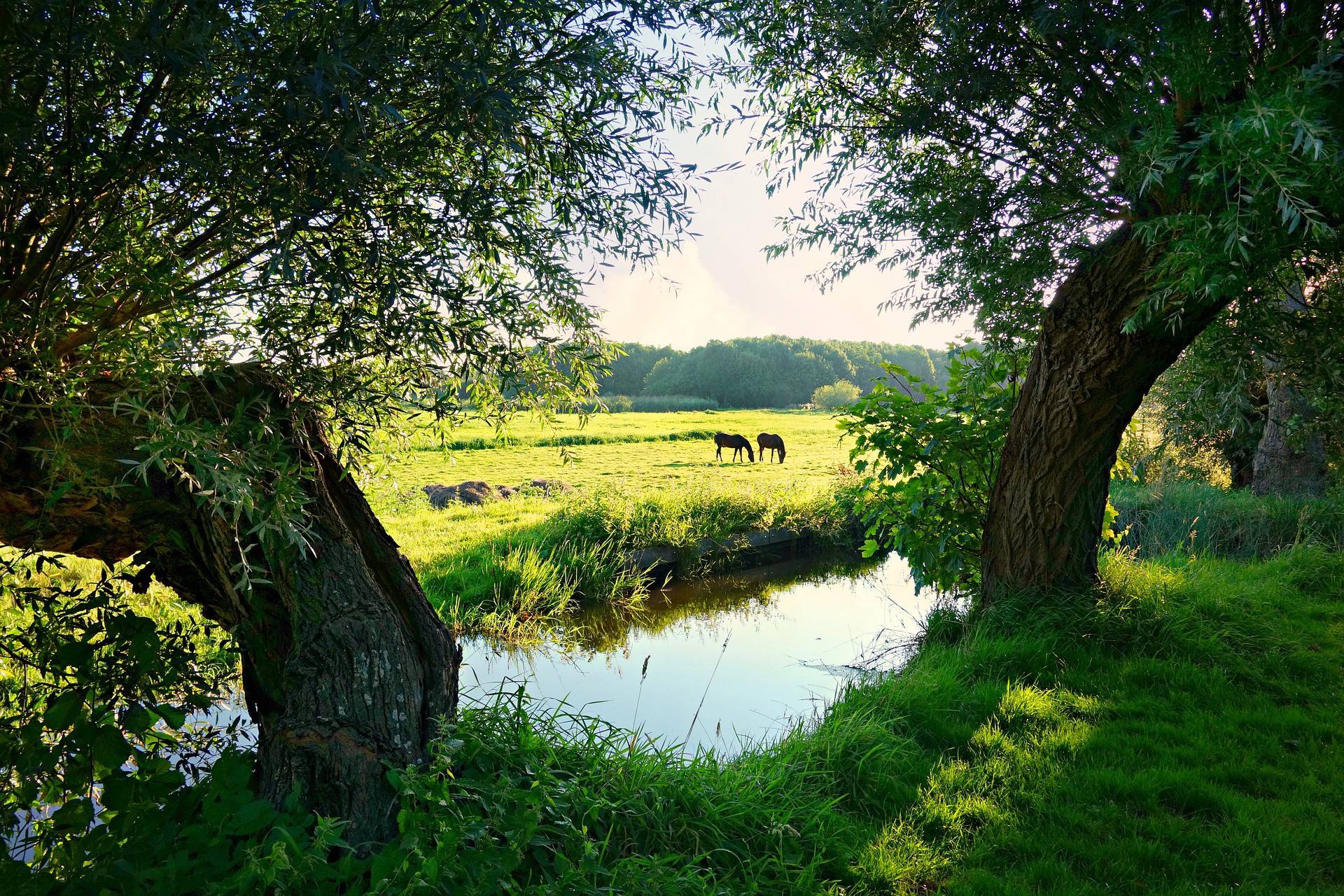 Uitlandse-Polder