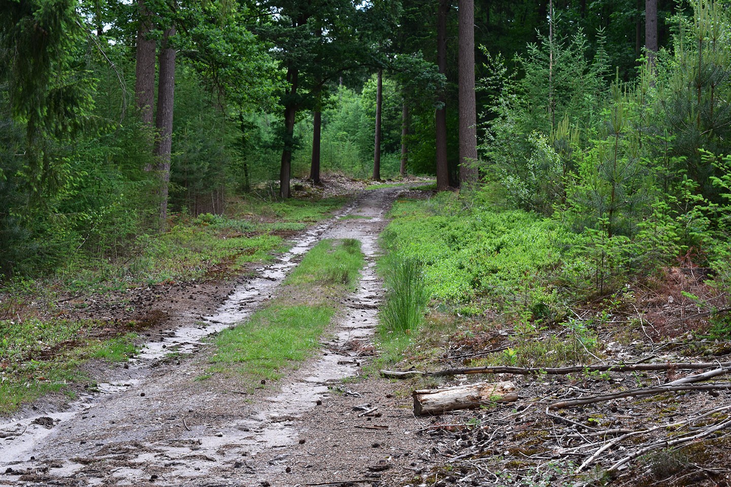 Veluwe Zwerfpad