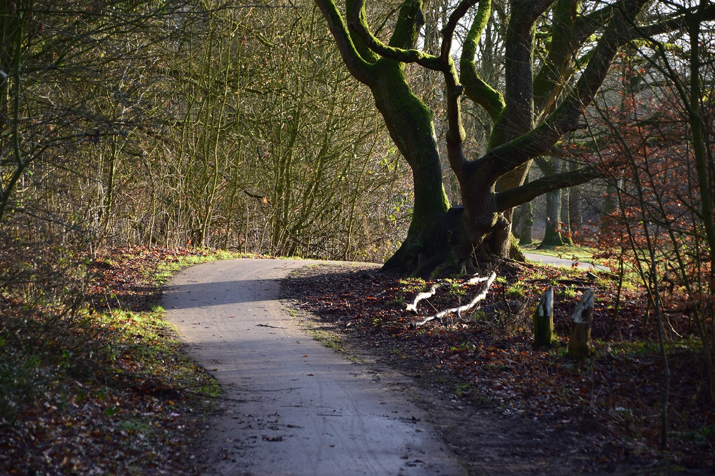 Fietsroute Midden Delfland