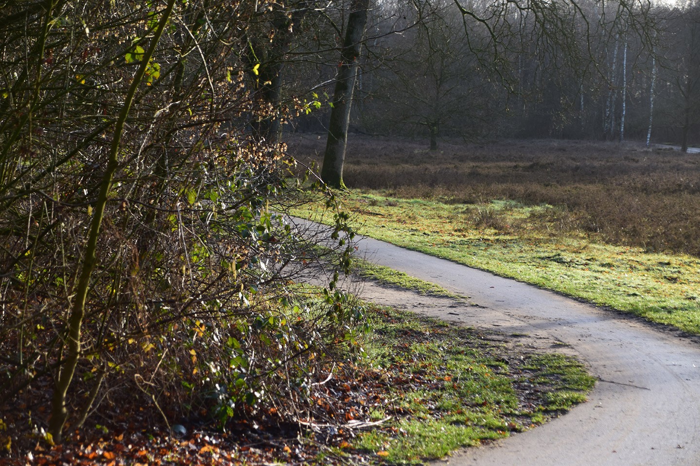 Fietsroute langs de Limes