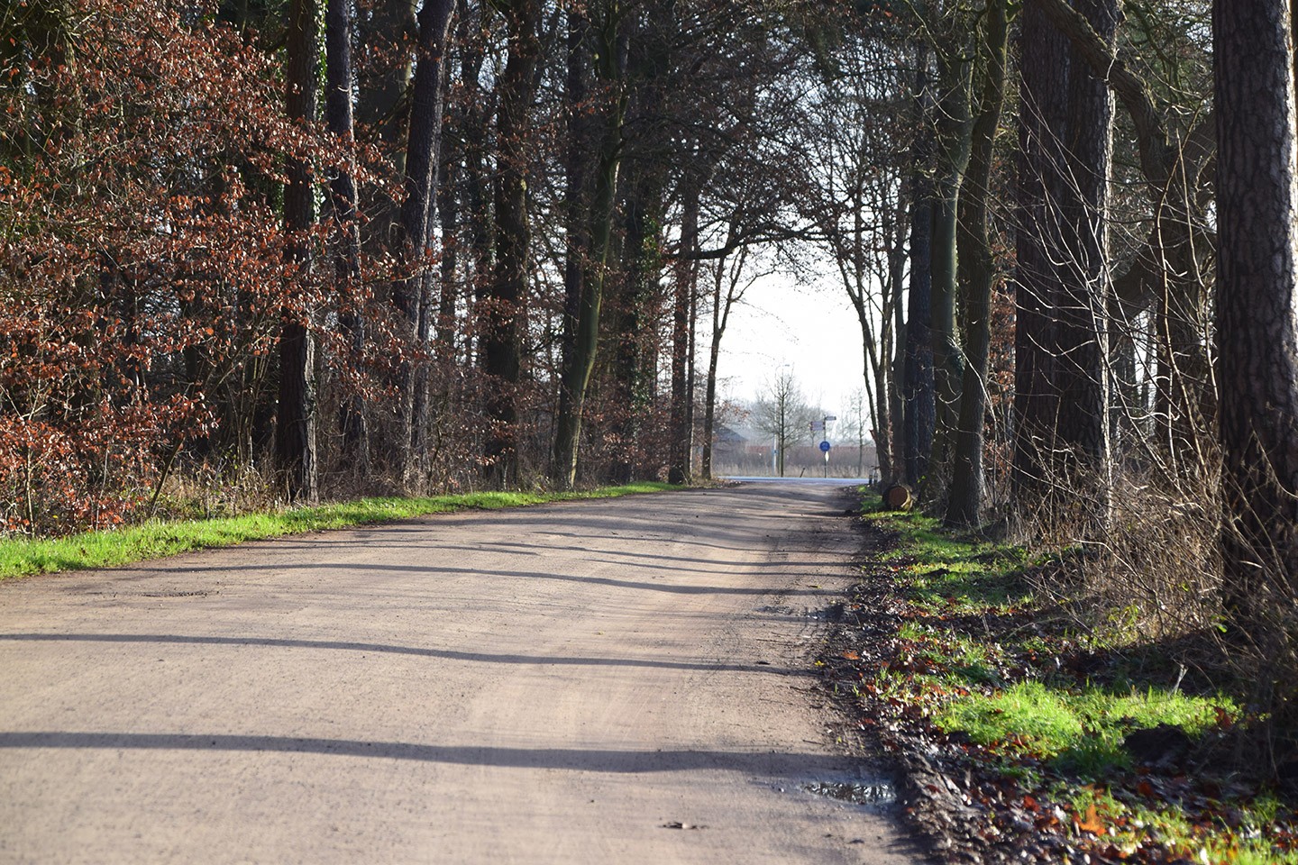 Fietsroute langs de Vliet