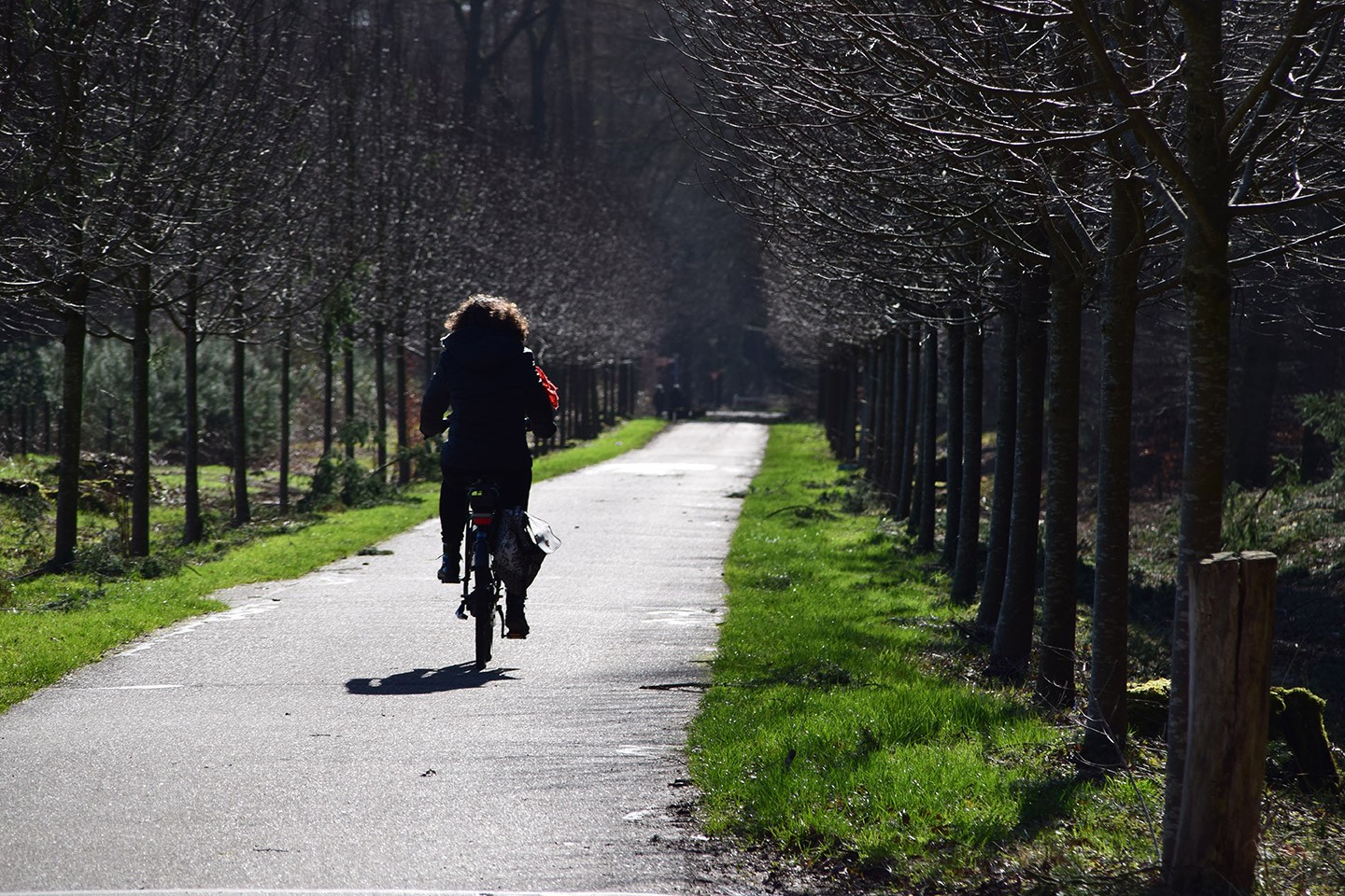 Haring en Hennep fietsroute