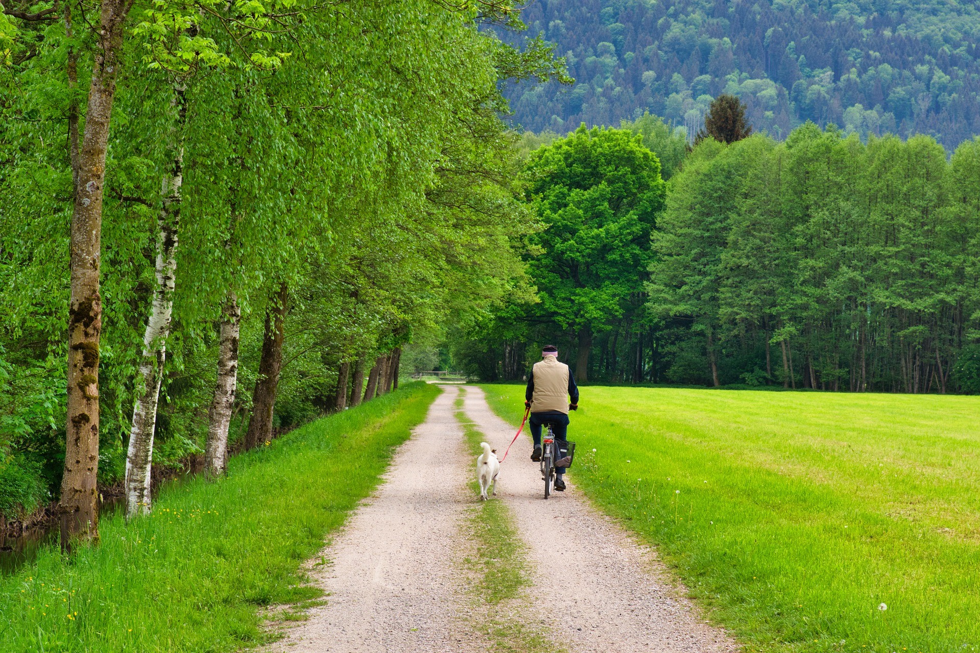 Heuvelfietsroute Parkstad Limburg