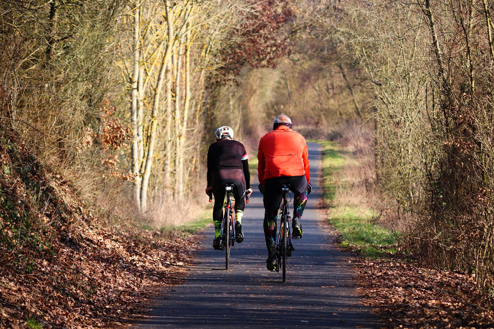 Lopikerwaard fietsroute West