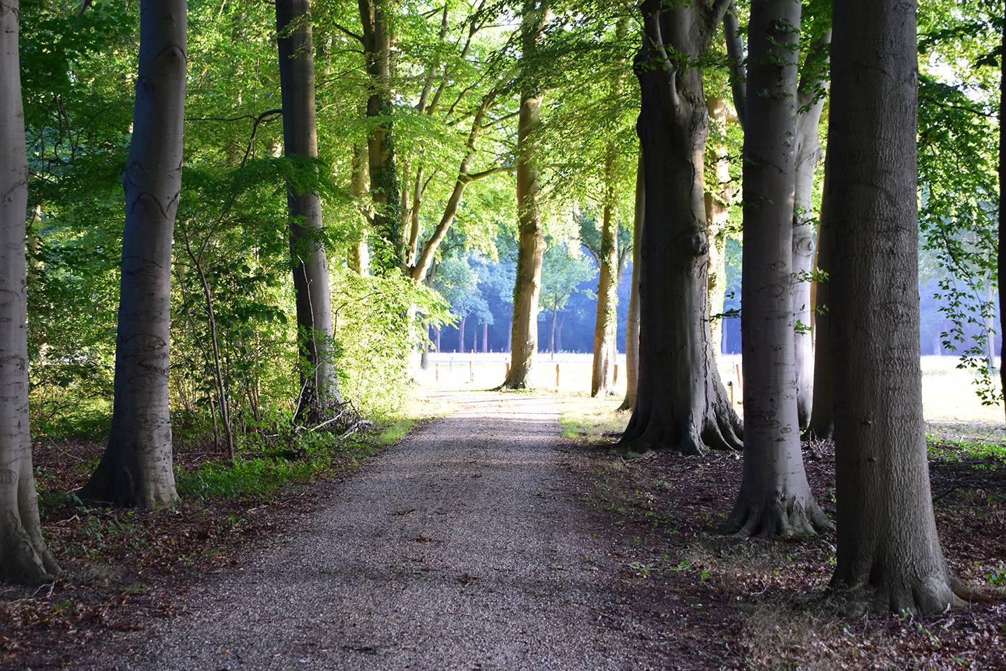 Monumentale dorpen en gehuchten fietsroute