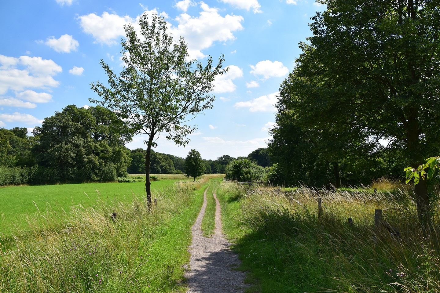 Natuurkampeerroute Achterhoek