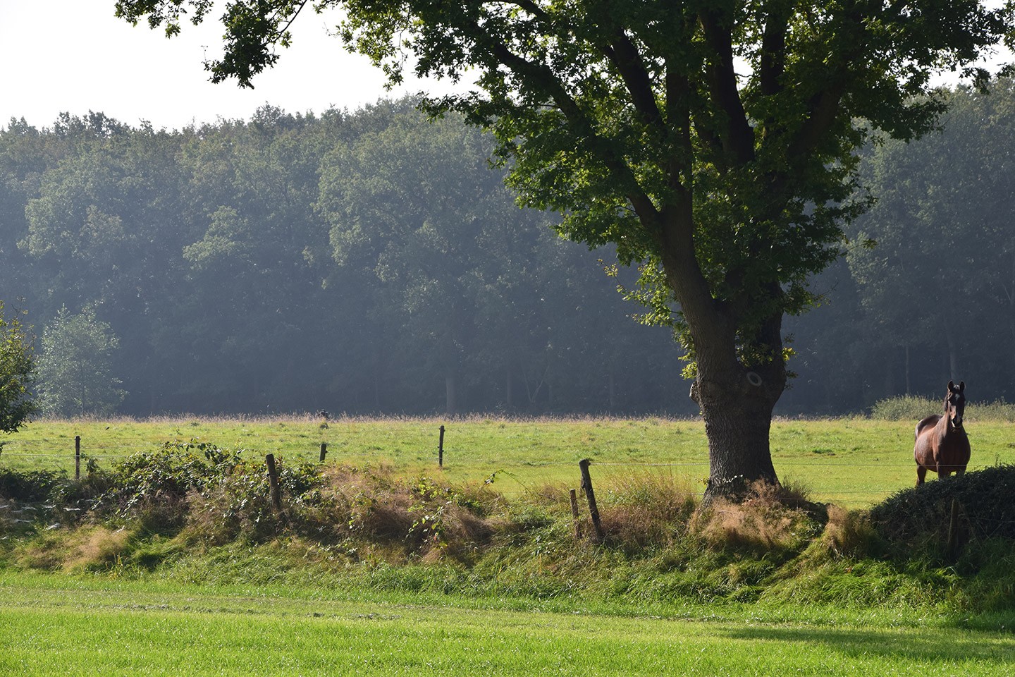 Natuurkampeerroute Friesland