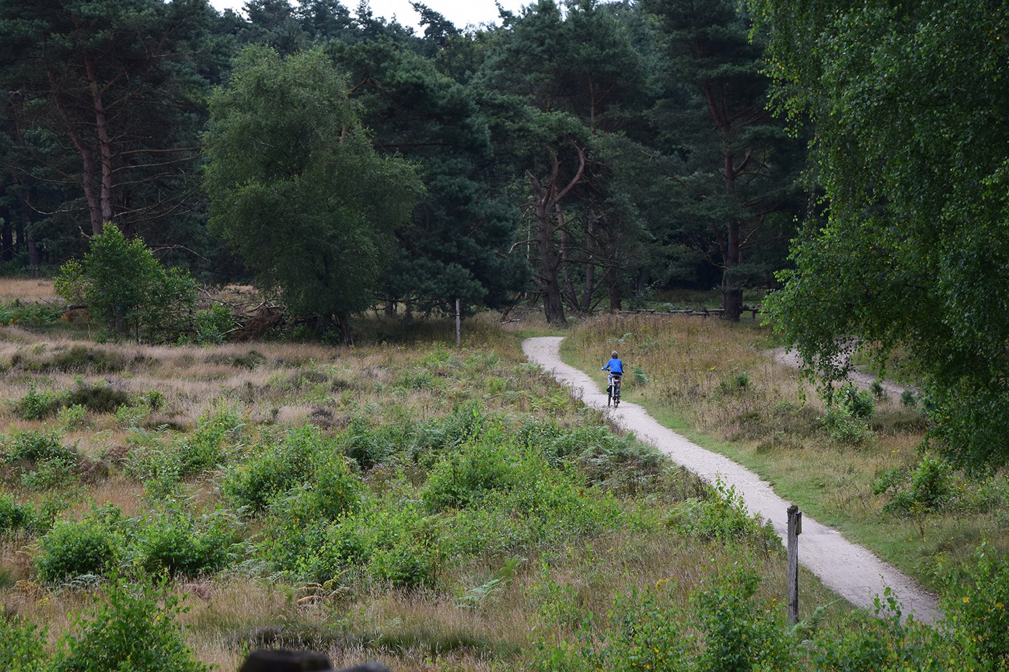 Natuurkampeerroute Groningen