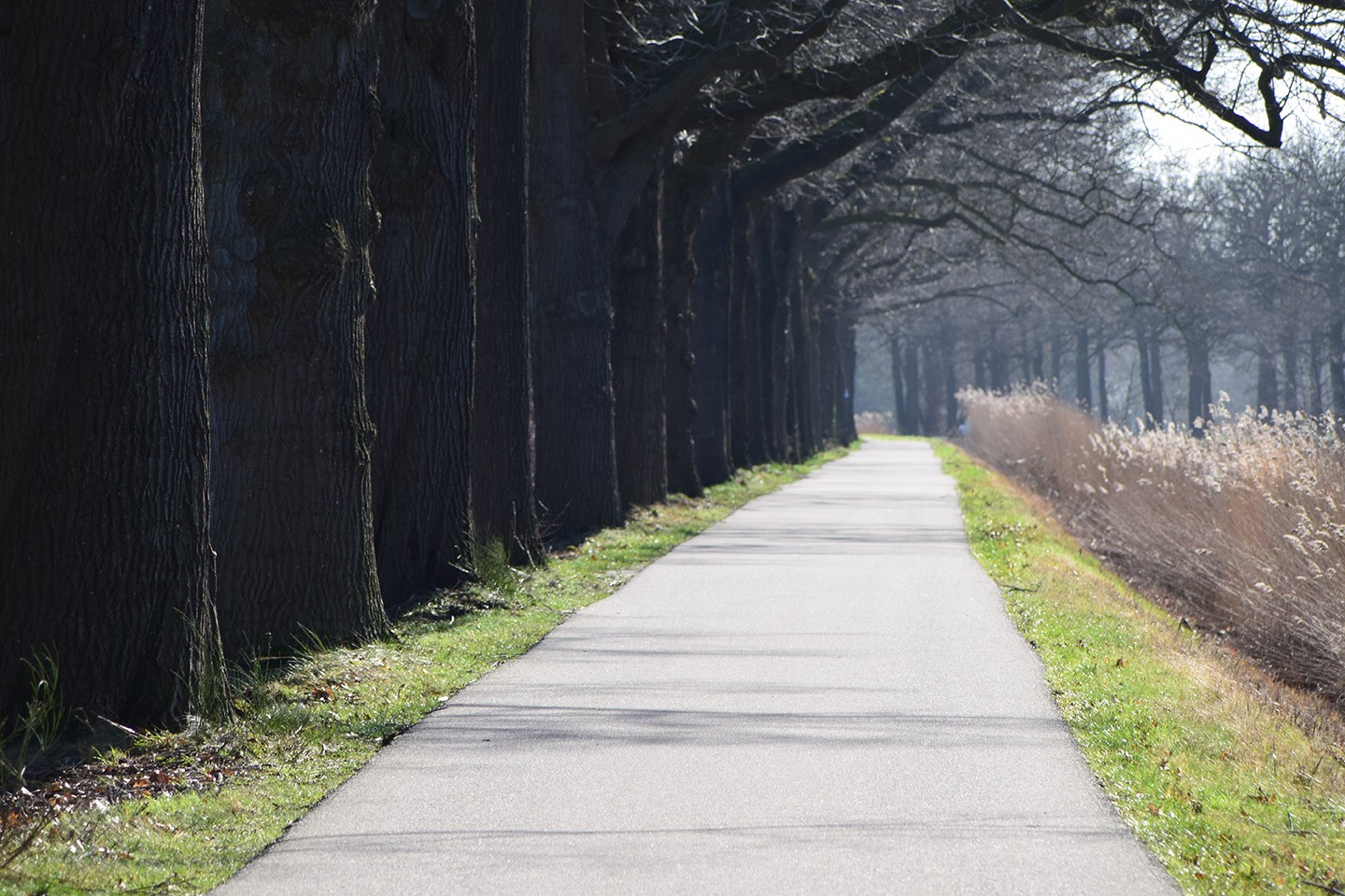 Noorderpark fietsroute