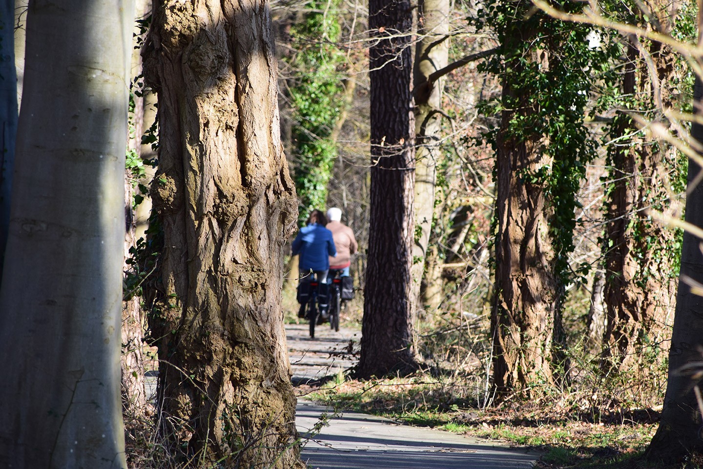 Rond Gaasp en Gein fietsroute