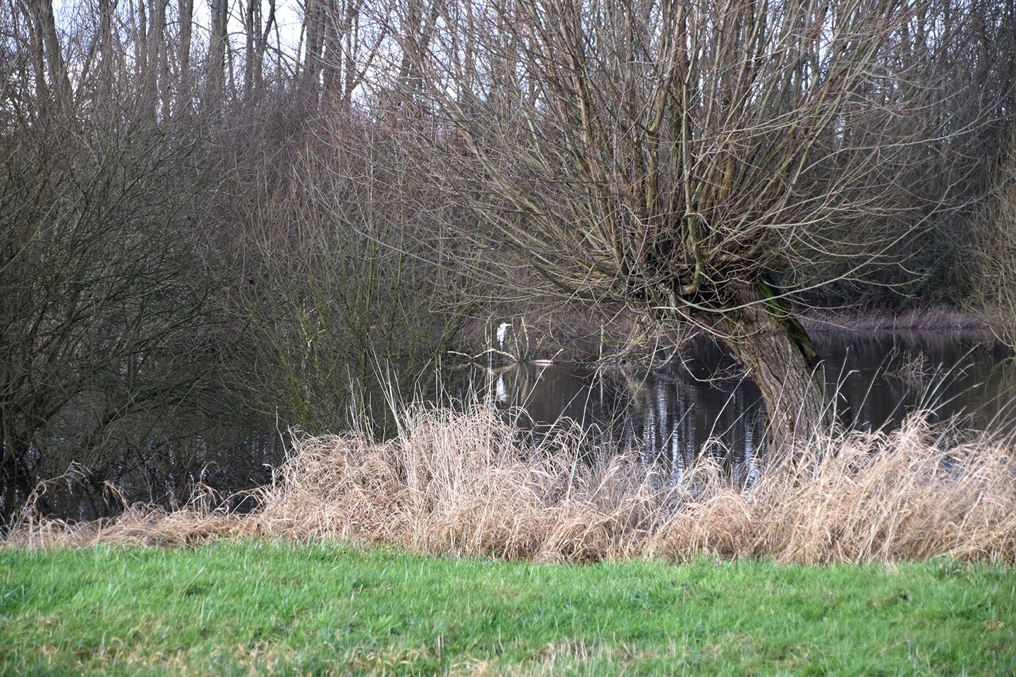 Slibben schorren slikken fietsroute