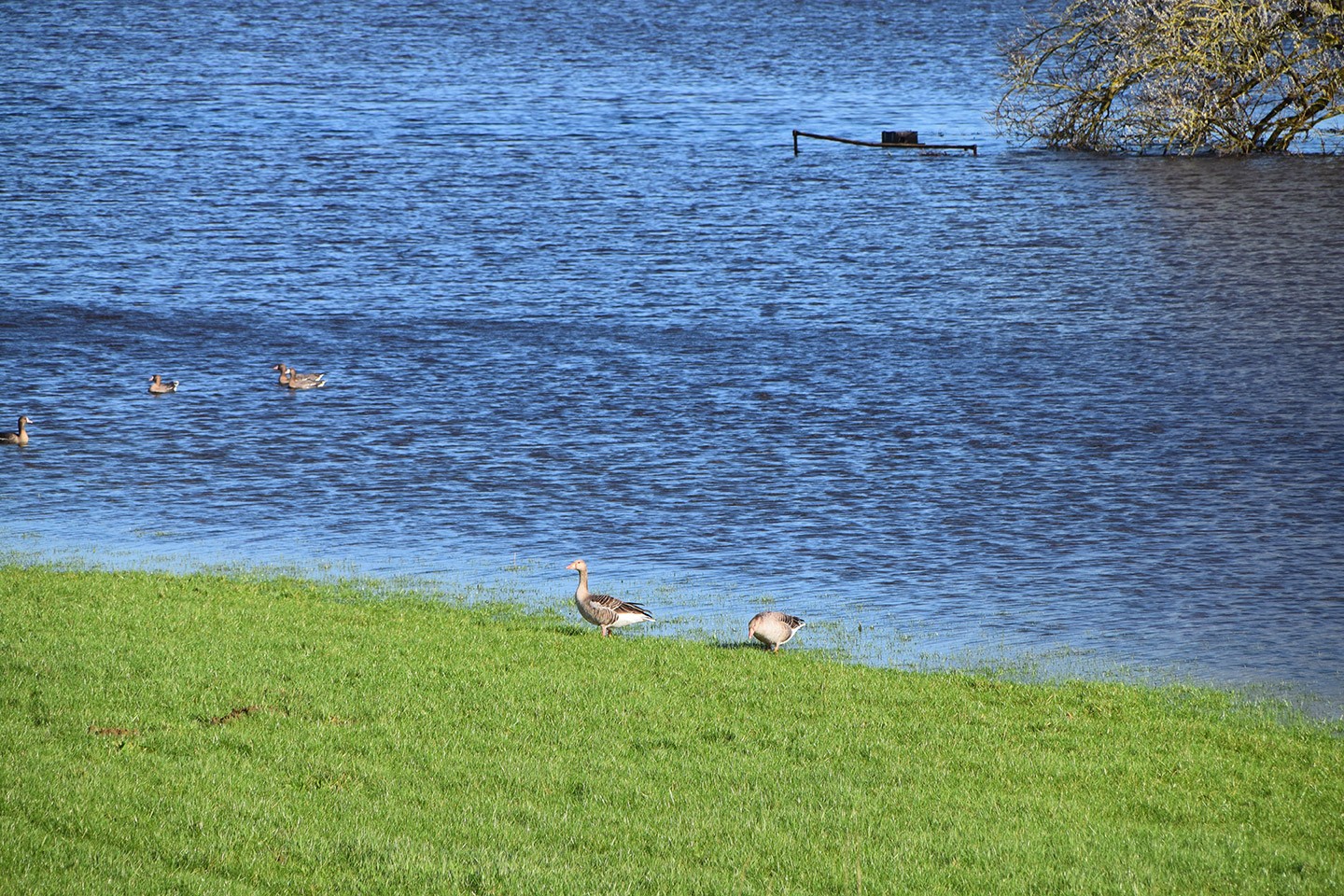 Sporen van het water