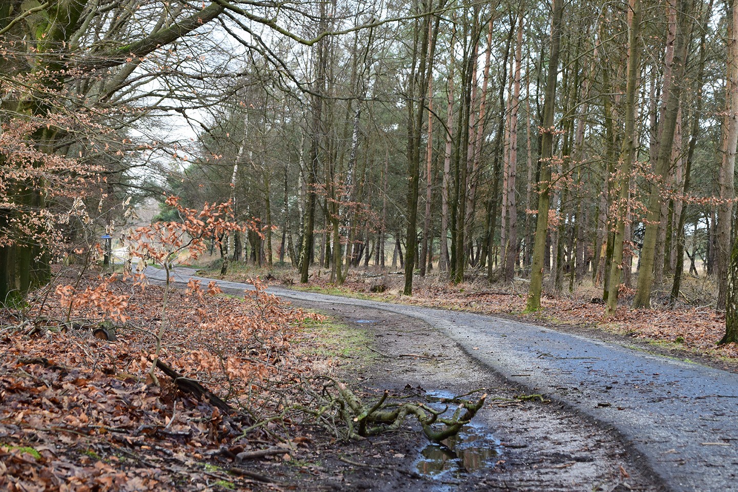 Selzerbeek Fietsroute