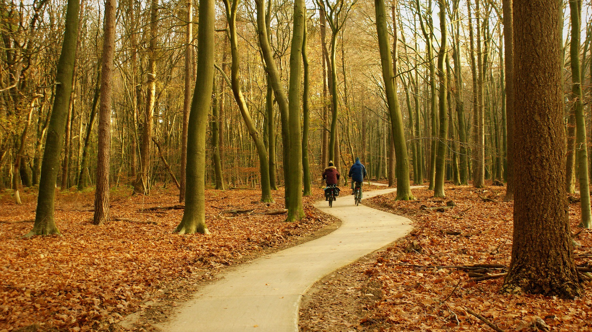 Vijlenerbos Fietsroute