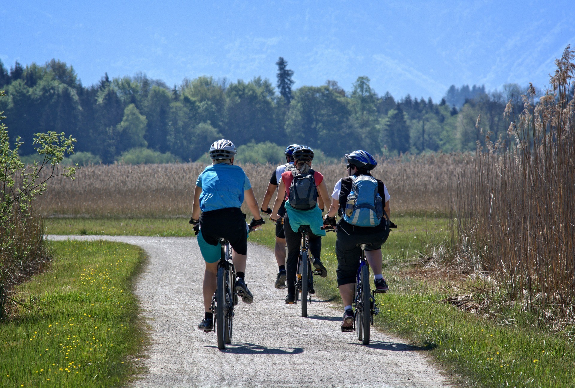 Fietsroute Langbroekerwetering