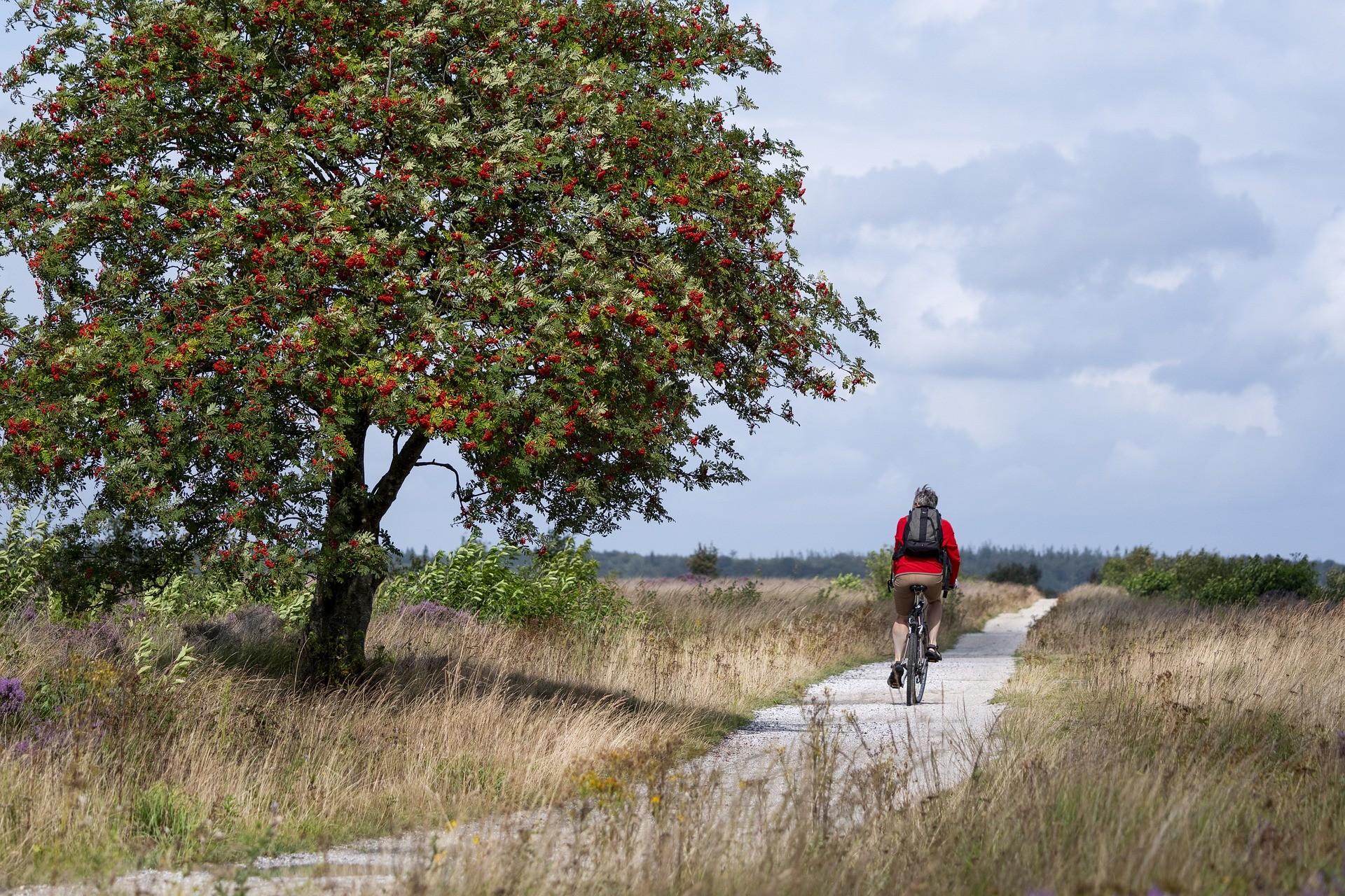 Kruis en Moeselpeel fietsroute