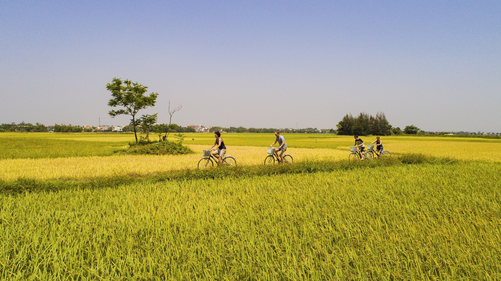 Molen fietsroute Leiden en Kagerplassen