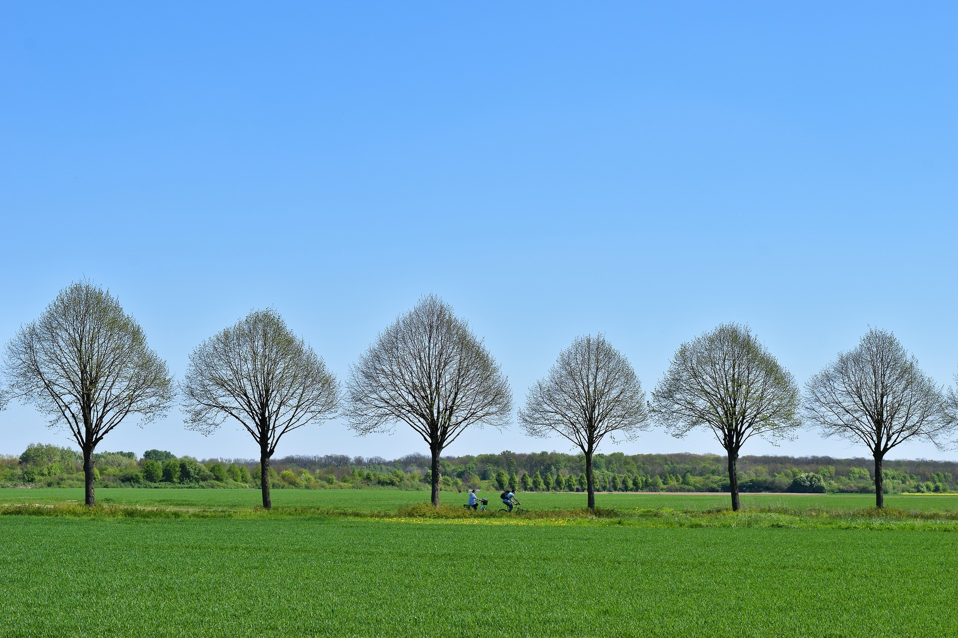 Vissensteert fietsroute